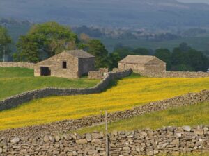 farm land and barn