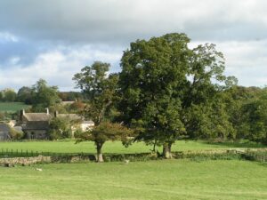 countryside landscape