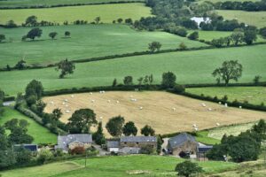 farming fields